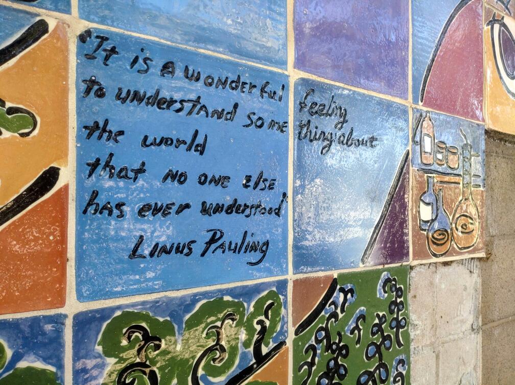 It is a wonderful feeling to understand something about the world that no one else has ever understood - Linus Pauling
